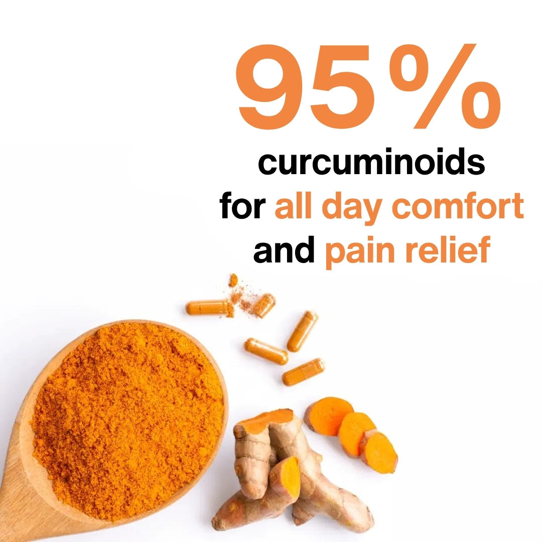 Holleen Turmeric Curcumin 95 _4
